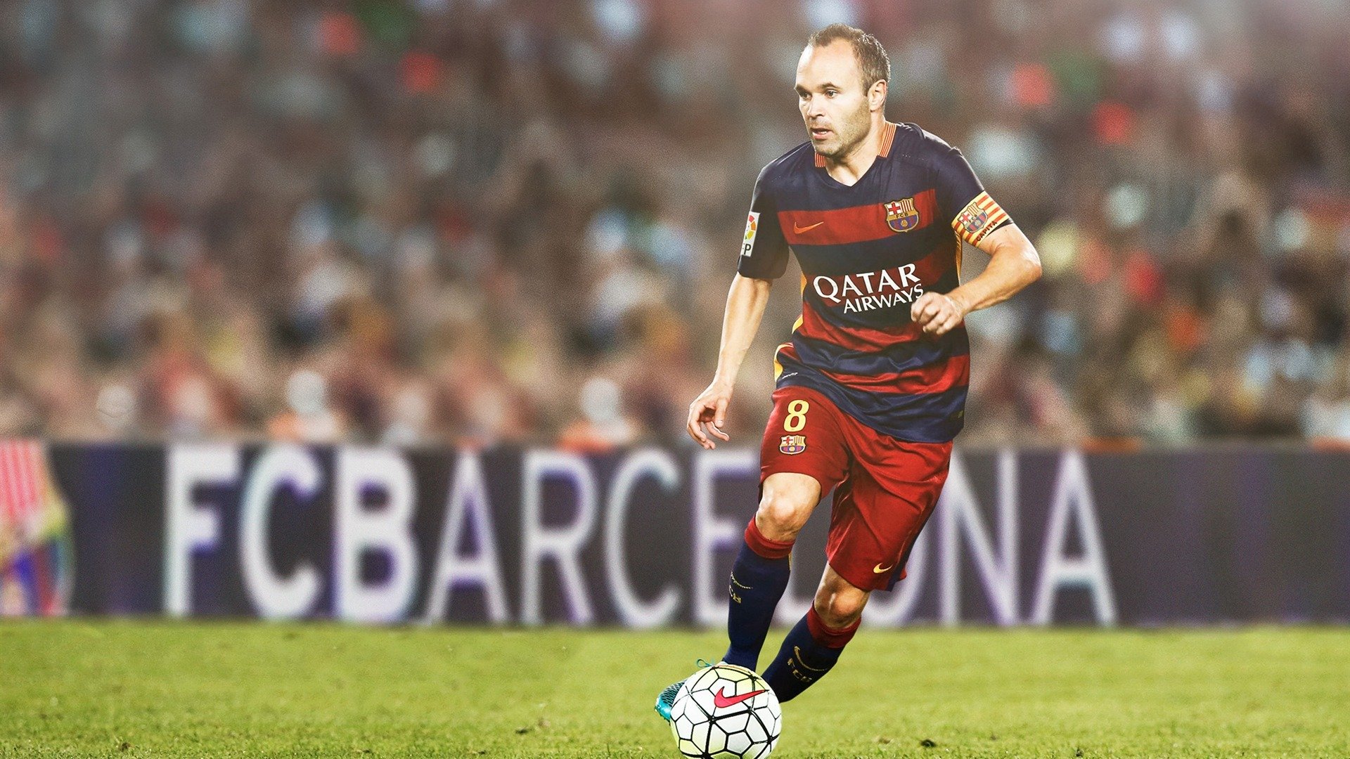 转会快讯：皇马官宣引进欧洲潜力新星，为未来布局，皇马新引援